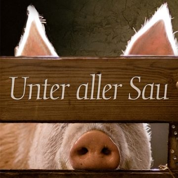 Christian Limmer: Unter aller Sau